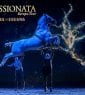 Apassionata - Cinema of Dreams