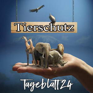 Tageblatt24 News Nachrichten Tierschutz