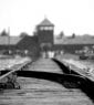 Birkenau Gerhard Richter