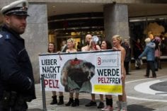 Anti Pelz Demo