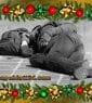 Obdachlose in Hamburg