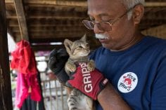 Kampf gegen Tollwut in Myanmar VIER PFOTEN impft über 30.000 Hunde und Katzen